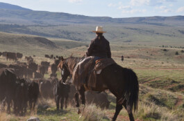 Midnight Special Ranchurlaub