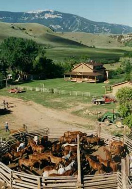 Dryhead Ranch Midnight Special Ranchurlaub