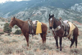 Midnight Special Ranchurlaub