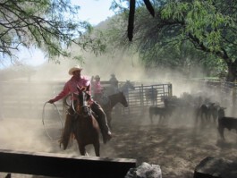 Mexico Midnight Special Ranchurlaub