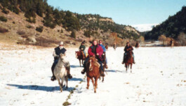 Dryhead Ranch Midnight Special Ranchurlaub