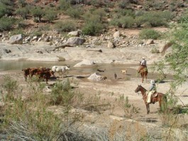  Midnight Special Ranchurlaub